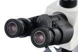 Digitální trinokulární mikroskop Levenhuk MED D45T LCD