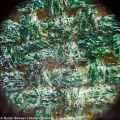 Mikroskop Levenhuk Rainbow 50L PLUS AzureAzur