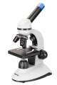 Digitální mikroskop se vzdělávací publikací Levenhuk Discovery Nano Polar
