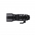 SIGMA 150-600mm F5-6.3 DG DN OS Sports pro Sigma L / Panasonic / Leica