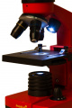 (CZ) Mikroskop Levenhuk Rainbow 2L OrangePomeranč